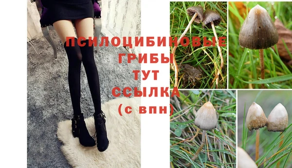 2c-b Горняк