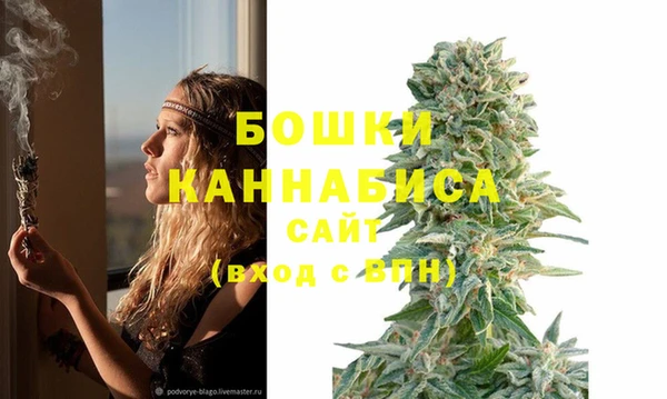 2c-b Горняк